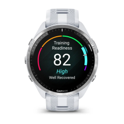 Спортивные часы для бега Garmin Forerunner 965 Titanium Bezel