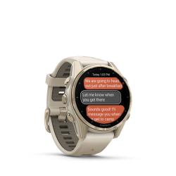 Спортивные часы для бега и триатлона Garmin Fenix 8 – Sapphire Soft Gold With Fog Gray/Dark 43 mm