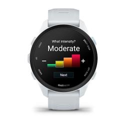 Часы для бега Garmin Forerunner 70 Whitestone