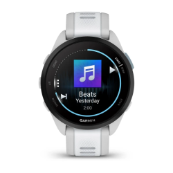 Часы для бега Garmin Forerunner 165 Music Mist grey/Whitestone